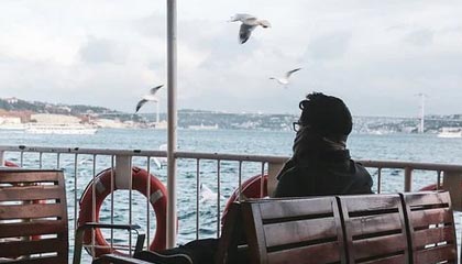 博鱼：让知识汇聚成机会的导航者