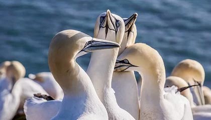 开云体育网址-世界足球先生评选得分：维尼修斯48分，罗德里43分